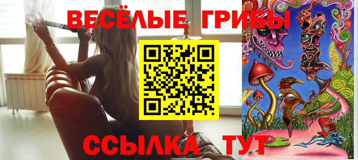 Галлюциногенные грибы GOLDEN TEACHER Усть-Джегута
