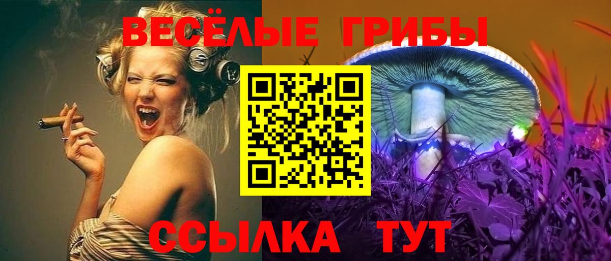 Усть-Джегута  Псилоцибиновые грибы Psilocybine cubensis  Вход с VPN  Псилоцибиновые грибы GOLDEN TEACHER 