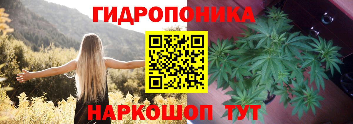 Усть-Джегута  Конопля планчик  Бошки марихуана Amnesia  Марихуана план  Вход с VPN  Марихуана OG Kush 
